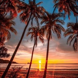 Meet your Posher, Antonette